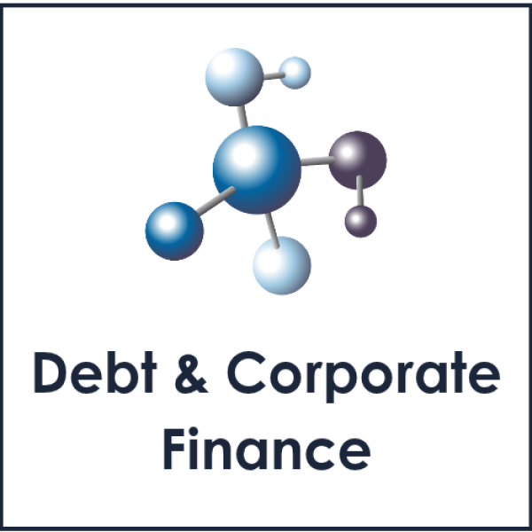 Debt & Corporate Finance